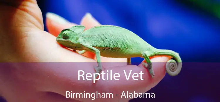 Reptile Vet Birmingham - Alabama