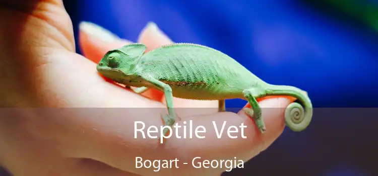 Reptile Vet Bogart - Georgia