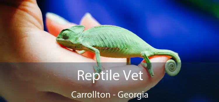 Reptile Vet Carrollton - Georgia