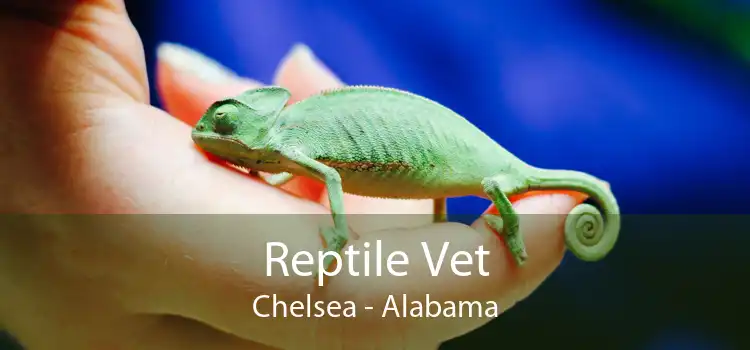 Reptile Vet Chelsea - Alabama