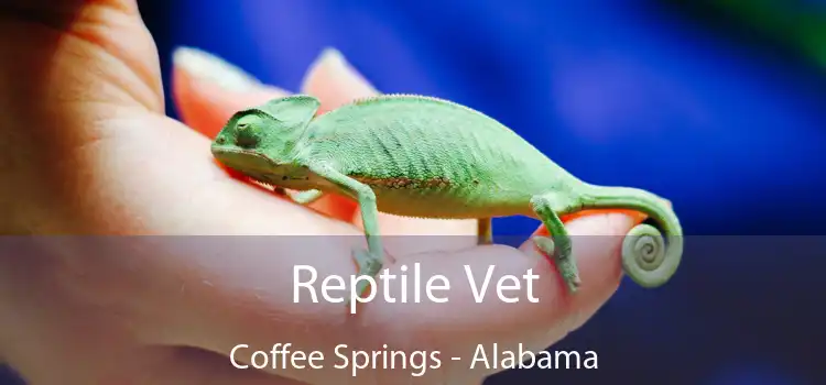 Reptile Vet Coffee Springs - Alabama