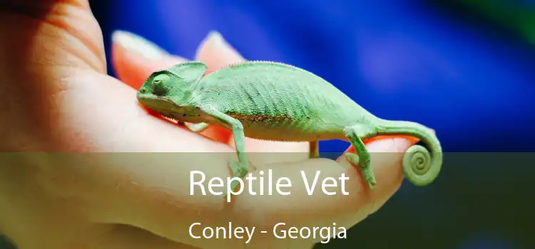 Reptile Vet Conley - Georgia