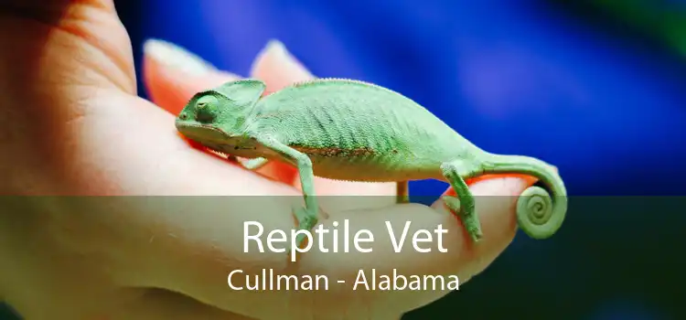 Reptile Vet Cullman - Alabama
