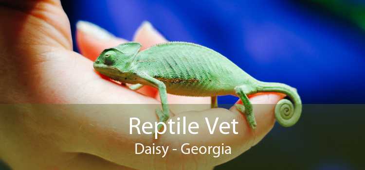 Reptile Vet Daisy - Georgia