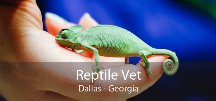 Reptile Vet Dallas - Georgia