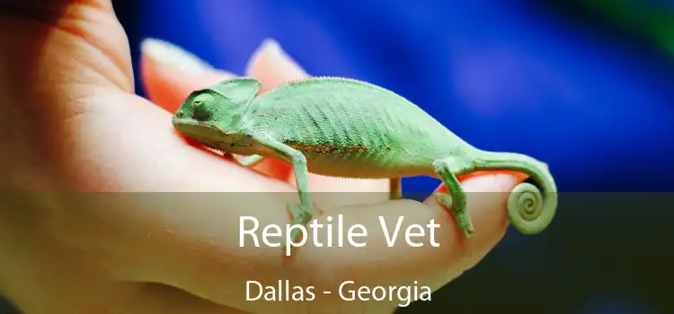 Reptile Vet Dallas - Georgia