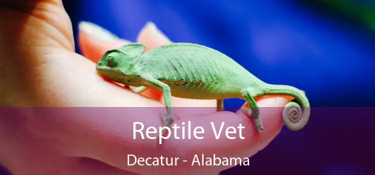 Reptile Vet Decatur - Alabama