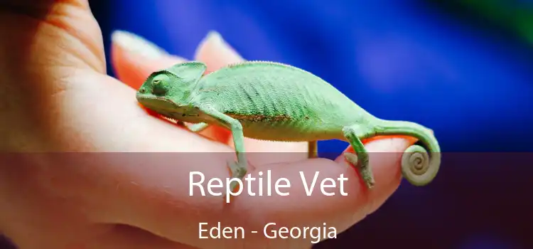 Reptile Vet Eden - Georgia