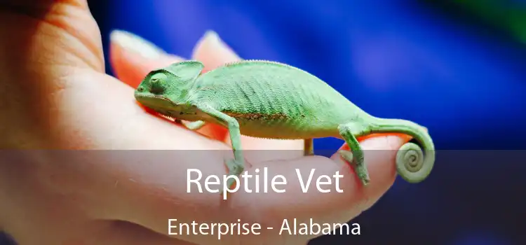 Reptile Vet Enterprise - Alabama