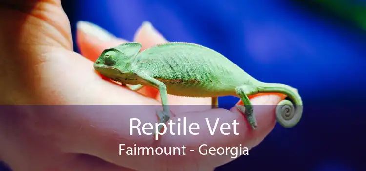 Reptile Vet Fairmount - Georgia