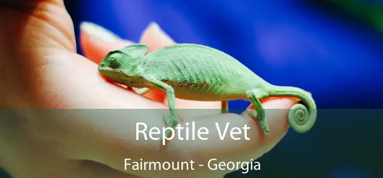 Reptile Vet Fairmount - Georgia