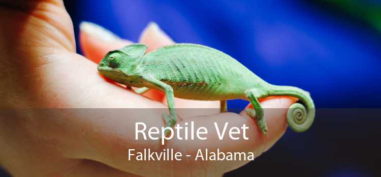 Reptile Vet Falkville - Alabama