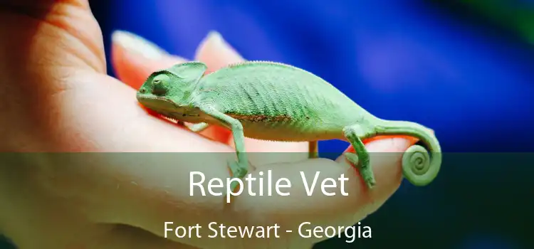 Reptile Vet Fort Stewart - Georgia