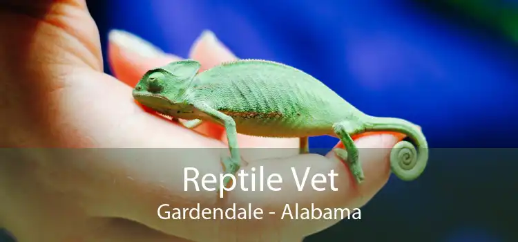 Reptile Vet Gardendale - Alabama