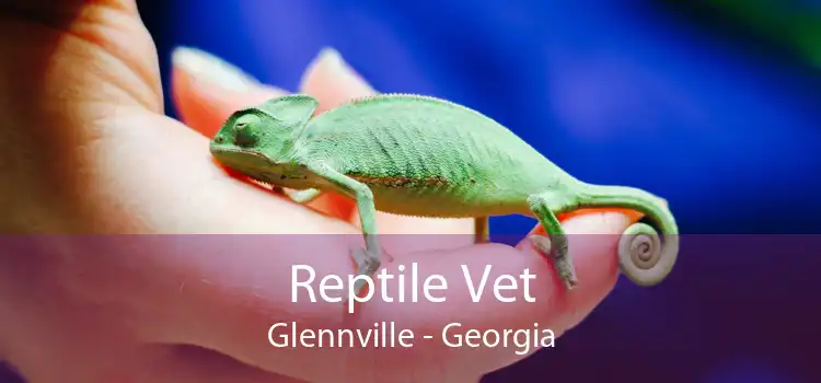 Reptile Vet Glennville - Georgia