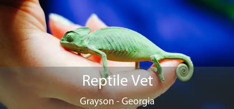 Reptile Vet Grayson - Georgia