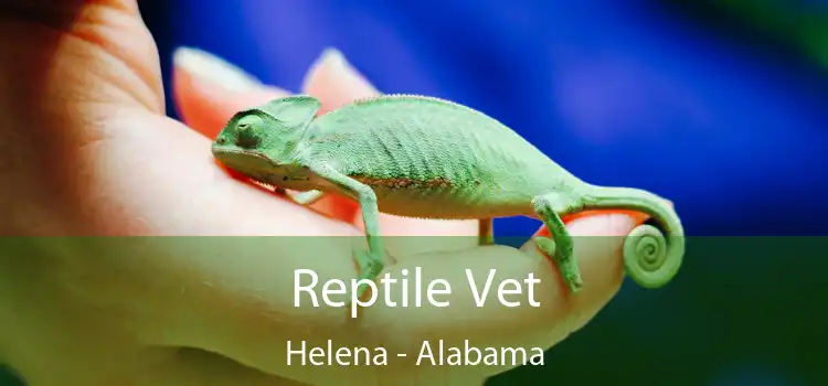 Reptile Vet Helena - Alabama