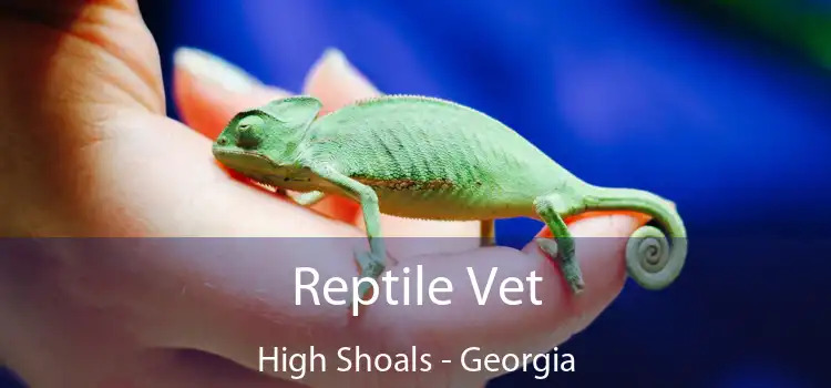 Reptile Vet High Shoals - Georgia