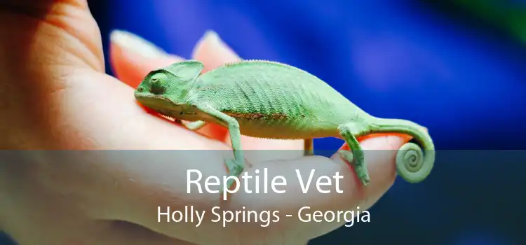 Reptile Vet Holly Springs - Georgia