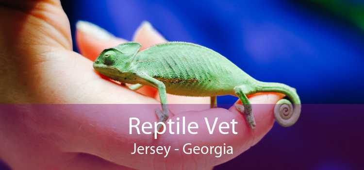 Reptile Vet Jersey - Georgia