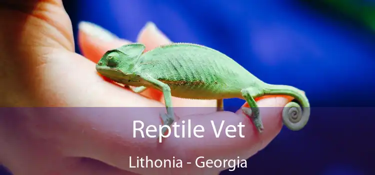 Reptile Vet Lithonia - Georgia