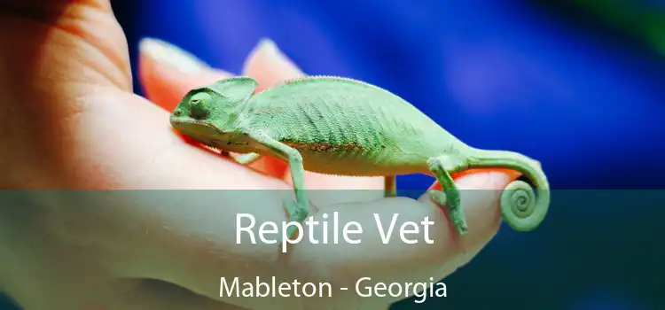 Reptile Vet Mableton - Georgia