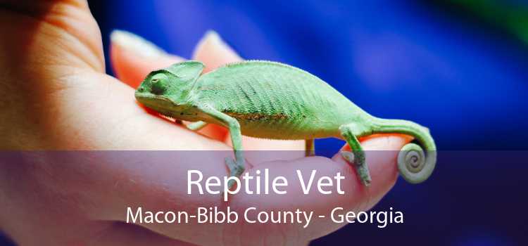 Reptile Vet Macon-Bibb County - Georgia