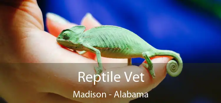 Reptile Vet Madison - Alabama