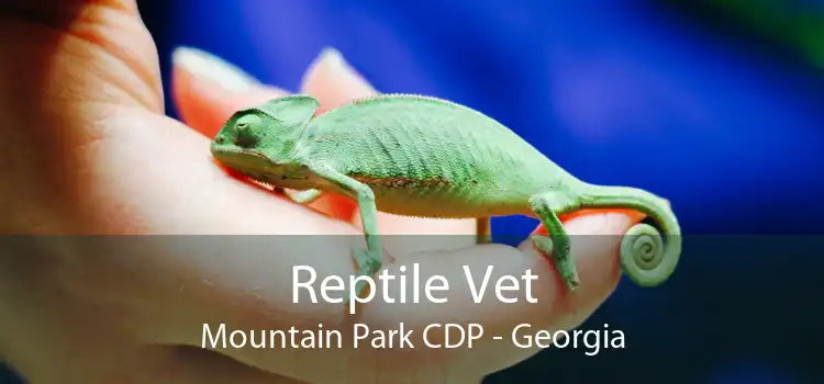 Reptile Vet Mountain Park CDP - Georgia
