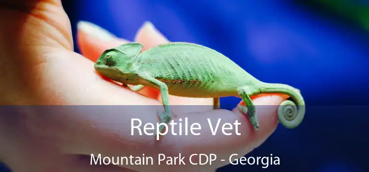 Reptile Vet Mountain Park CDP - Georgia