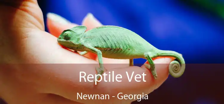 Reptile Vet Newnan - Georgia