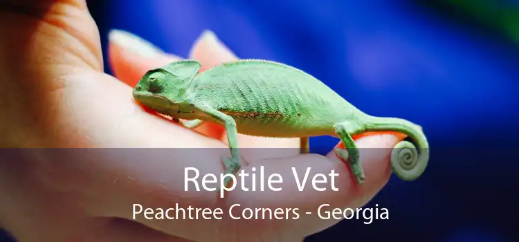 Reptile Vet Peachtree Corners - Georgia