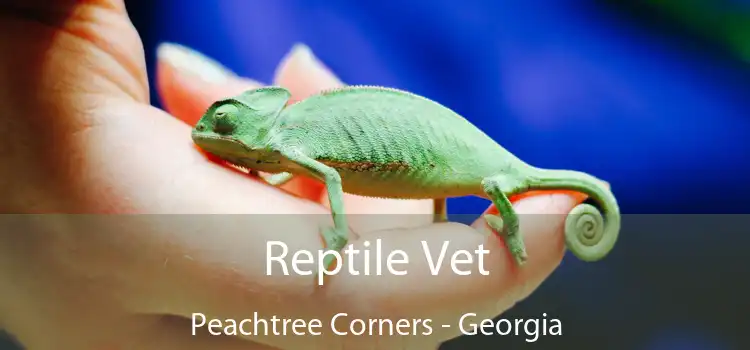 Reptile Vet Peachtree Corners - Georgia