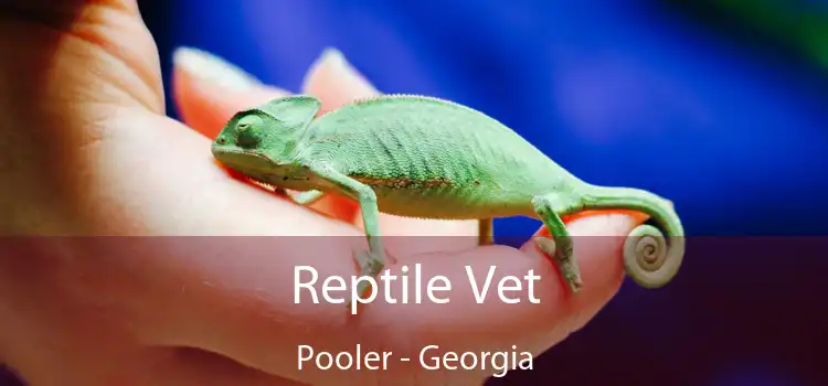 Reptile Vet Pooler - Georgia