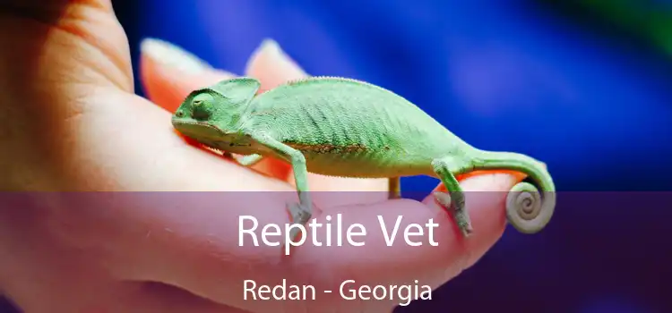 Reptile Vet Redan - Georgia