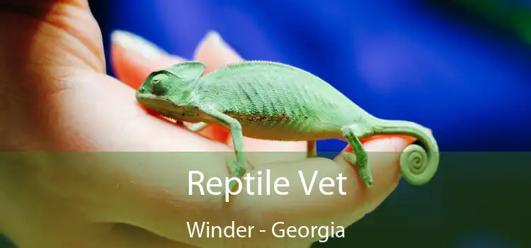 Reptile Vet Winder - Georgia