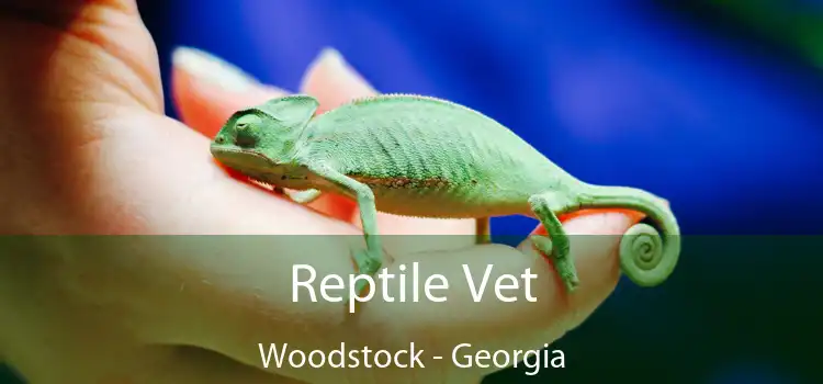 Reptile Vet Woodstock - Georgia