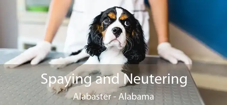 Spaying and Neutering Alabaster - Alabama