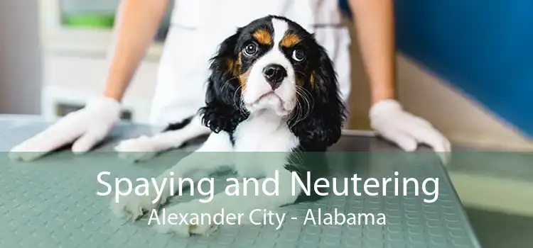 Spaying and Neutering Alexander City - Alabama