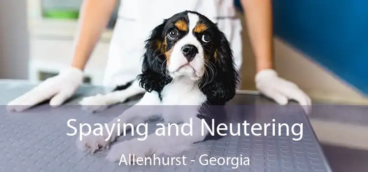 Spaying and Neutering Allenhurst - Georgia