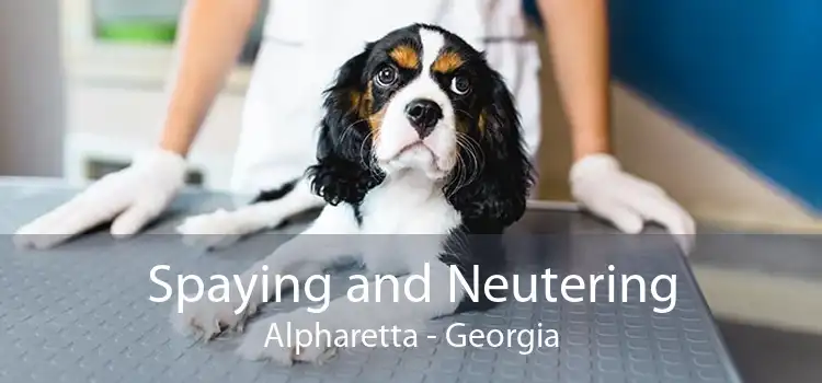 Spaying and Neutering Alpharetta - Georgia