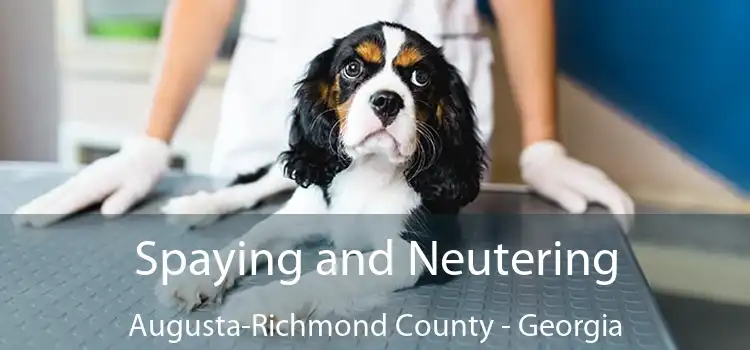 Spaying and Neutering Augusta-Richmond County - Georgia