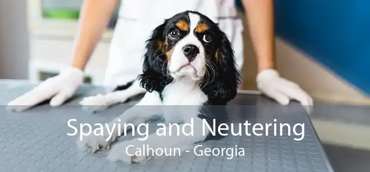 Spaying and Neutering Calhoun - Georgia