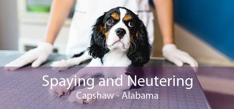 Spaying and Neutering Capshaw - Alabama