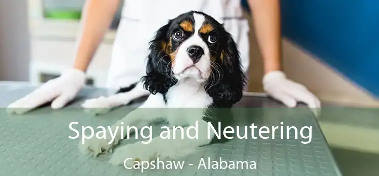 Spaying and Neutering Capshaw - Alabama