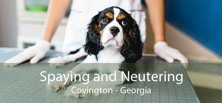 Spaying and Neutering Covington - Georgia