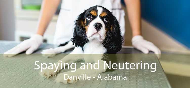 Spaying and Neutering Danville - Alabama