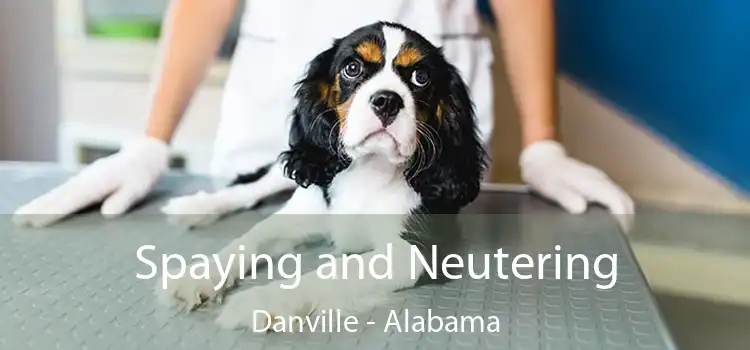 Spaying and Neutering Danville - Alabama
