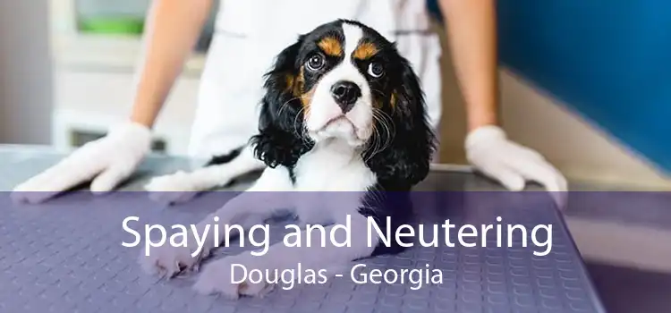Spaying and Neutering Douglas - Georgia