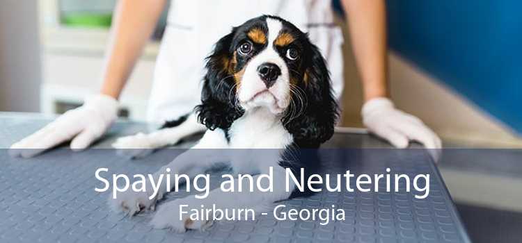 Spaying and Neutering Fairburn - Georgia